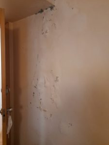 Lucido pared yeso