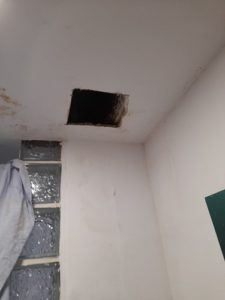 Tapado cala escayola baño